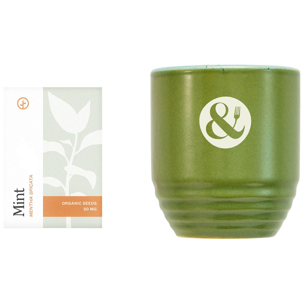Modern Sprout In The Weeds/Mint Garden Vibes Candle/Planter