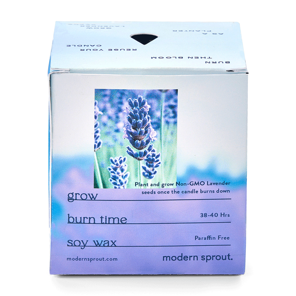 Modern Sprout Violet Hour/Lavender Garden Vibes Candle/Planter