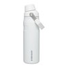 Stanley Polar IceFlow Bottle with Fast Flow Lid 24 oz