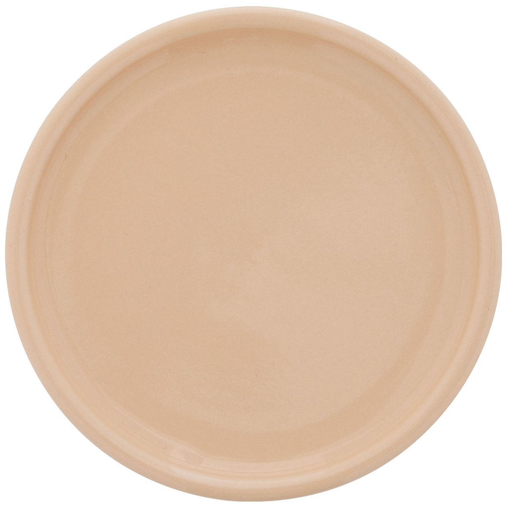 ETS Express Vanilla Blume 22oz Ceramic Planter