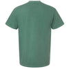 Comfort Colors Unisex Light Green Garment-Dyed Heavyweight T-Shirt