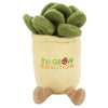 Chelsea Teddy Bear Succulent Zenzies 7