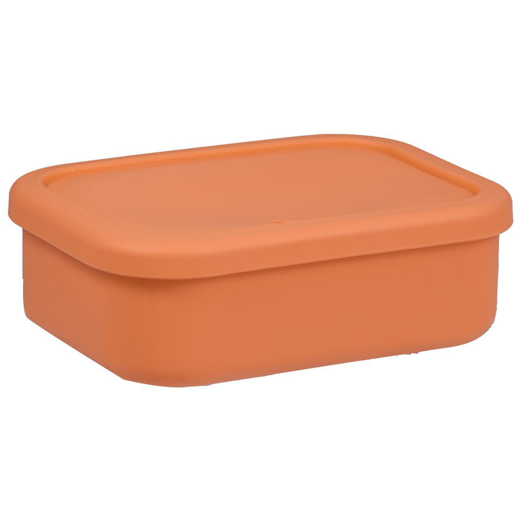 Leed's Melon Silicone Food Storage Box with Air Valve 24oz