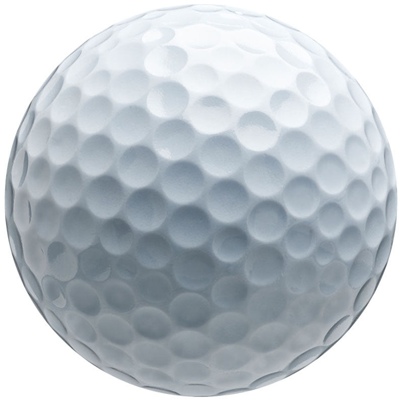 Bridgestone White e6 Golf Balls (One Dozen)