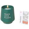 Modern Sprout Dark Teal/Thyme Rooted Candle