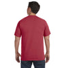 Comfort Colors Men's Chili 6.1 Oz. T-Shirt