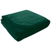 Logomark Green Brookshire Micro-Plush Blanket