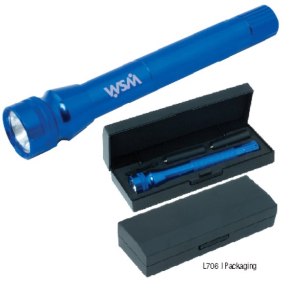 K & R Blue Investigator