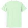 Next Level Unisex Mint CVC Tee