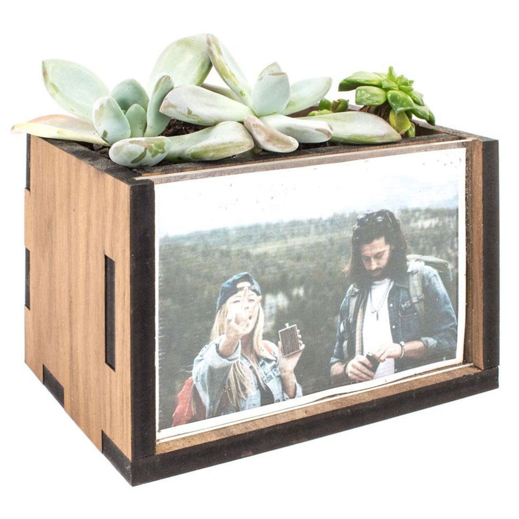 Woodchuck USA Walnut Rectangle Picture Frame Desktop Planter