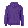 Roots73 Men's Bright Purple Paddlecreek Full Zip Hoody