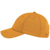 Ahead University Gold/University Gold Frio Cap