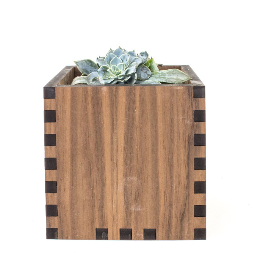 Woodchuck USA Walnut Square Desktop Planter